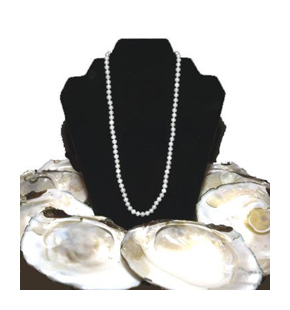 necklace_shells