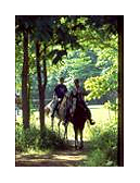 pic_horse_trail_ride